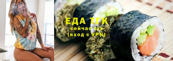 спиды Богородицк