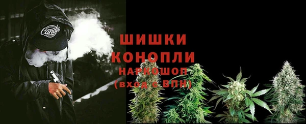 ECSTASY Богородск