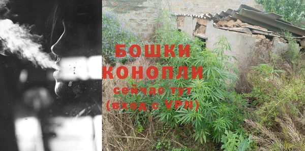 ECSTASY Богородск