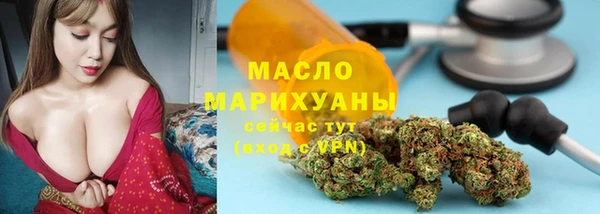 гидра Богданович