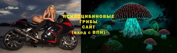 гидра Богданович