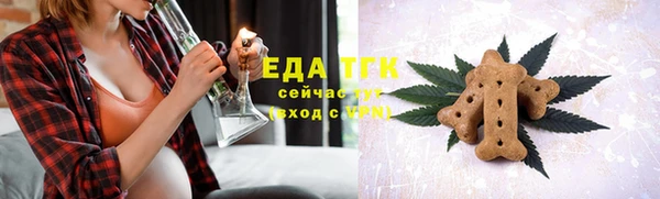 спиды Богородицк