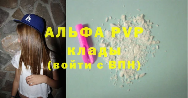ECSTASY Богородск