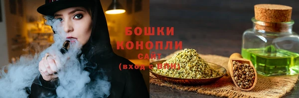 гидра Богданович