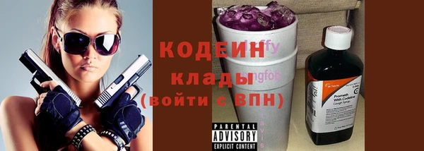 гидра Богданович