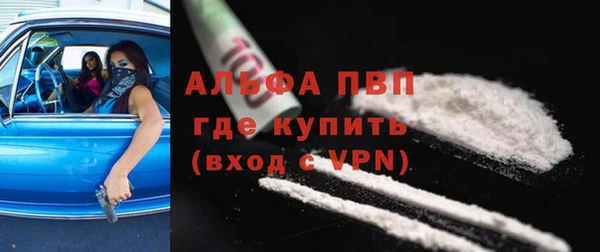 гидра Богданович
