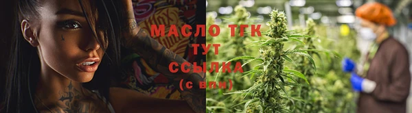 спиды Богородицк