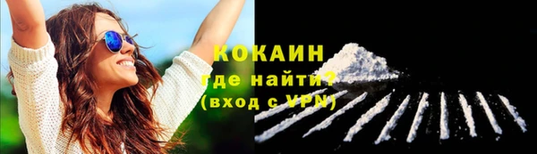 ECSTASY Богородск