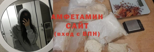 гидра Богданович