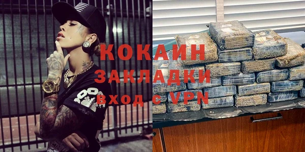гидра Богданович