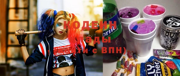 спиды Богородицк
