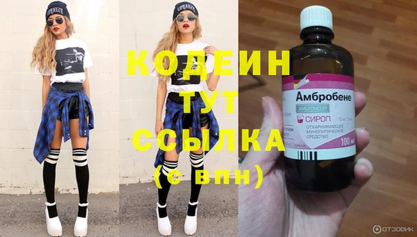 спиды Богородицк