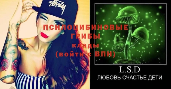 ECSTASY Богородск