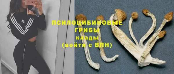 спиды Богородицк