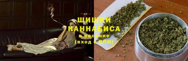 гидра Богданович