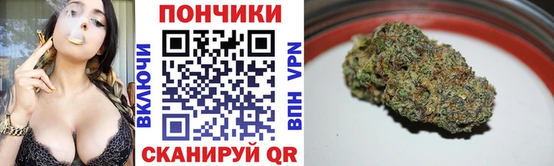 Марихуана индика  Ставрополь 